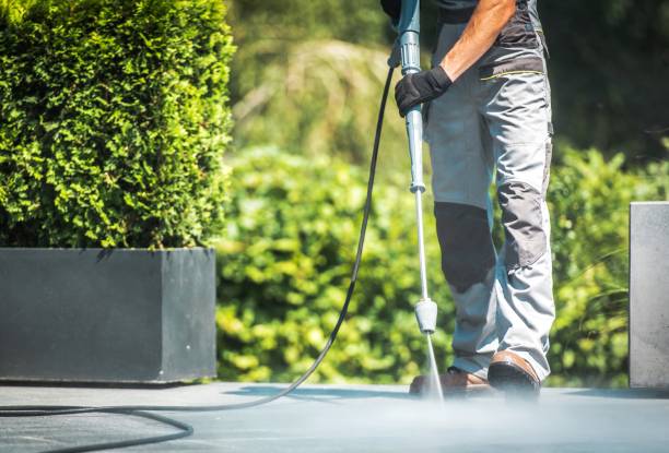 Best Sidewalk and Walkway Pressure Cleaning in Wales, WI