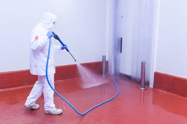 Best Gutter Cleaning and Brightening in Wales, WI